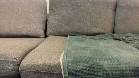 Daniel  Noelia online show from October 30, 2:40 pm