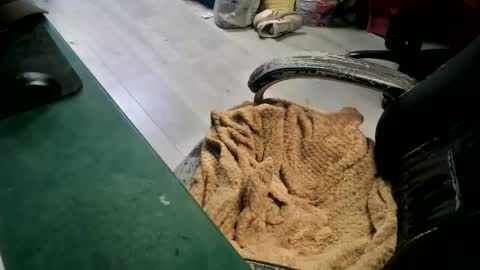 bigpeepdude online show from June 14, 4:42 pm