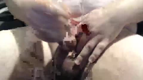 bigstudjohn22 online show from October 27, 10:17 am