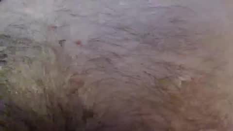 bigstudjohn22 online show from October 2, 11:03 am