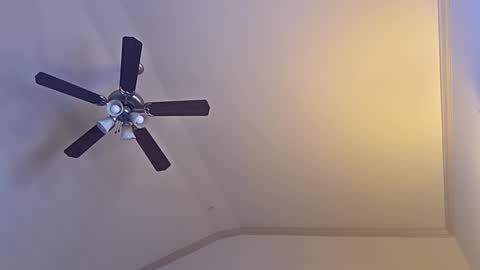 bigswoletroll online show from March 12, 7:32 pm