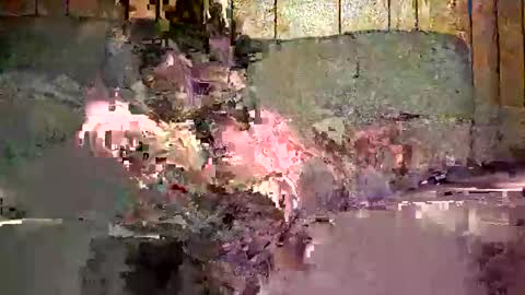 bigwytecock1979 online show from December 29, 12:41 am