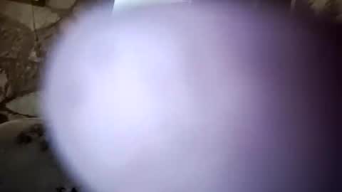 bigwytecock1979 online show from January 10, 12:17 am