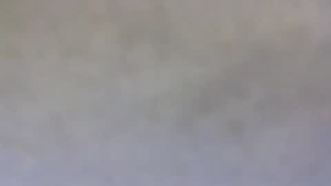 billmenow141 online show from December 19, 8:24 am