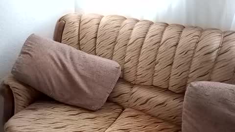 Bill online show from February 19, 1:06 pm