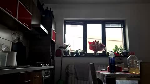 bisexdadd online show from October 12, 12:21 pm