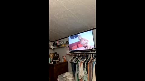 bls78 online show from May 11, 9:01 pm