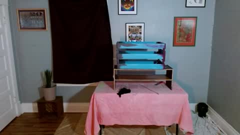 ZuperZexyZounds online show from October 31, 2:24 am