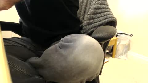 bobbuild online show from March 24, 11:37 am