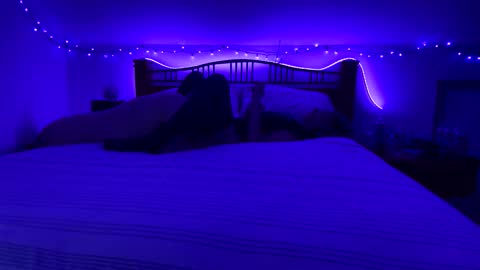 bodiddly64 online show from February 17, 2:21 am