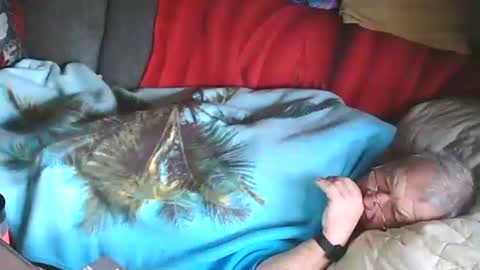 Bomber59potsdam online show from January 28, 10:02 am