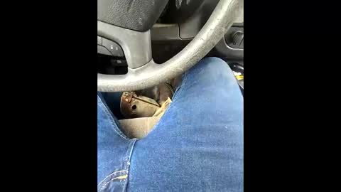 bombinshaman online show from February 4, 5:19 pm