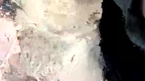 bonerthong online show from February 10, 4:01 pm