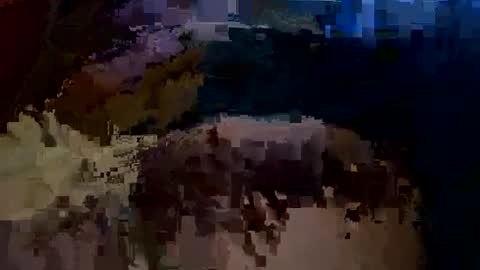 Bonkooooo online show from July 26, 5:15 am
