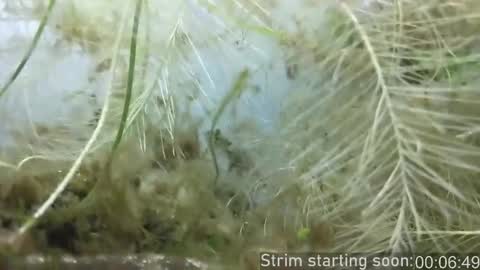 Booker Baxton online show from November 6, 4:04 am