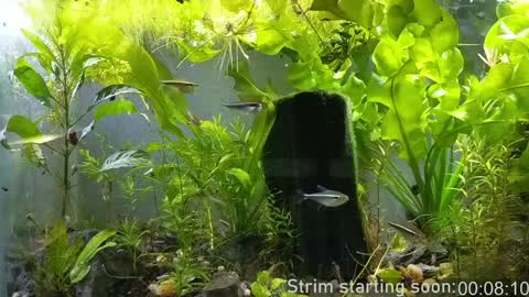 Booker Baxton online show from January 8, 4:02 am