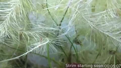 Booker Baxton online show from February 25, 4:03 am