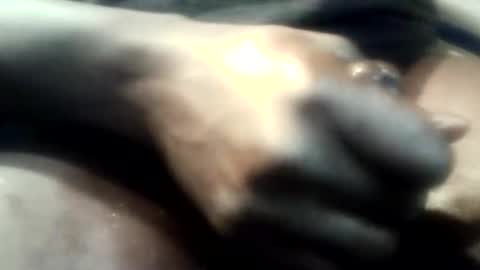 botofogo online show from December 1, 4:59 am