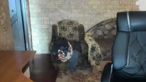 BoyApollon online show from December 8, 10:52 am