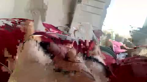 brad2518181 online show from February 21, 6:26 pm