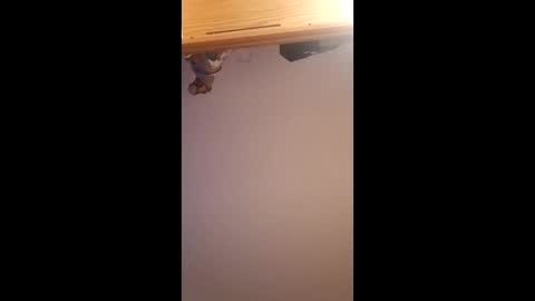 brandon281997 online show from April 1, 12:07 pm