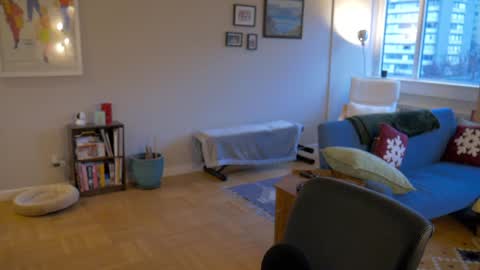 bright bi online show from December 29, 11:29 pm