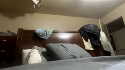 brycehasit online show from December 19, 5:32 pm