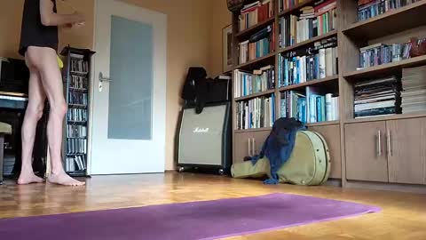 Buba online show from March 12, 10:59 am