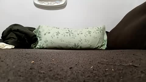 bullspain27266272 online show from January 6, 2:10 pm