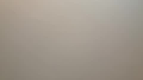 bushdoctor1 online show from December 10, 2:06 pm