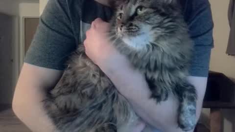  Astaroth  Angel  online show from February 26, 2:24 am