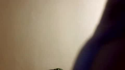 byrdmanblaze88 online show from March 14, 3:24 am