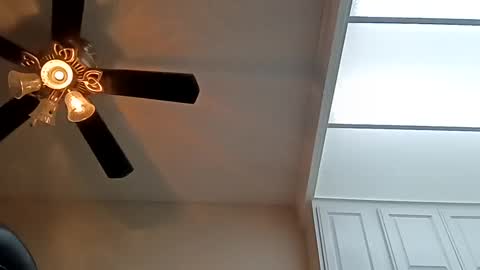 Hugh joh Meathammer online show from December 22, 2:49 am