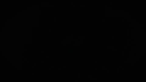 Charly online show from April 2, 10:56 am