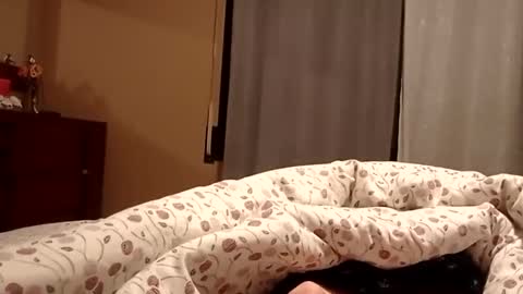 carlitito1 online show from April 10, 8:43 am