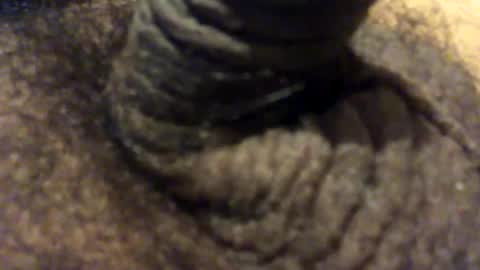 carlitos34m906127 online show from February 8, 9:26 am