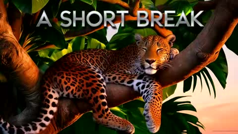 CharlieSierra96 online show from April 22, 10:58 pm