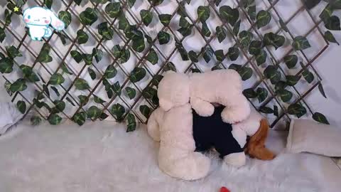 charly_evans60 online show from February 27, 6:31 pm