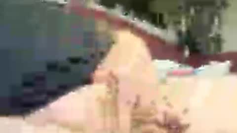 chef4u13 online show from July 4, 7:33 am
