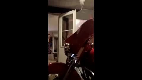 CheifLongDong151 online show from April 19, 10:12 pm