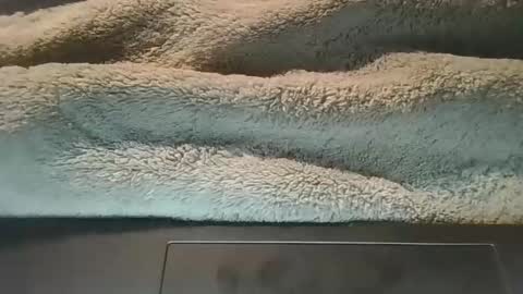 christops10 online show from March 3, 4:34 am