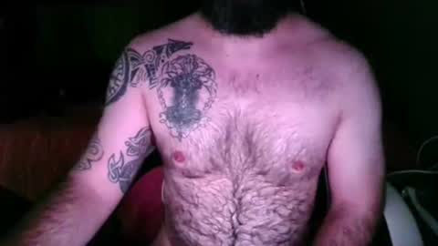 chub bear 99 online show from May 20, 10:55 am