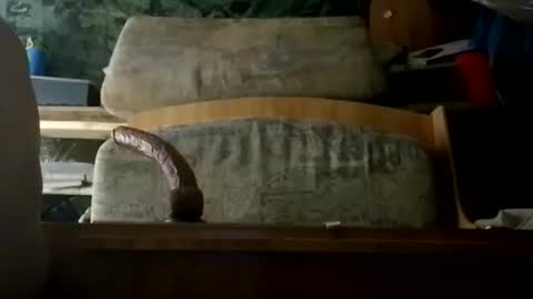 HeyTurkeyBoy online show from March 15, 11:51 am