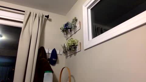 COACH online show from December 14, 12:50 am