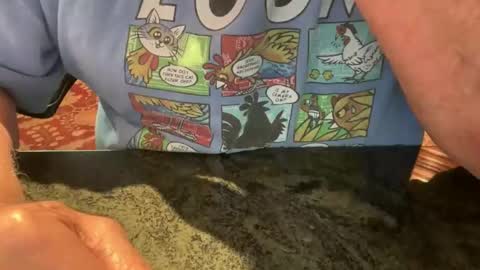 Cock 4u 247 online show from March 25, 8:24 pm