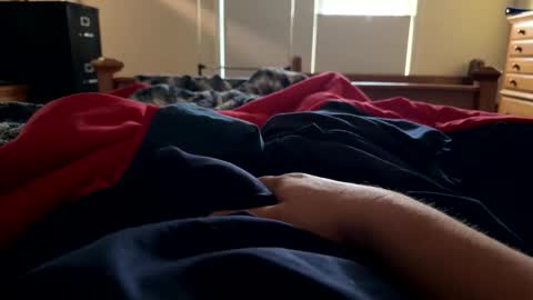 cocky_pirate22 online show from December 22, 1:19 pm