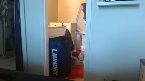 Colby big dick money online show from March 9, 6:11 pm