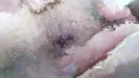 Mount N Drew online show from November 26, 10:35 pm