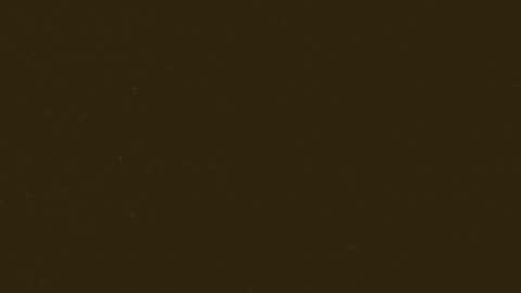 cookieforme online show from October 29, 7:28 pm