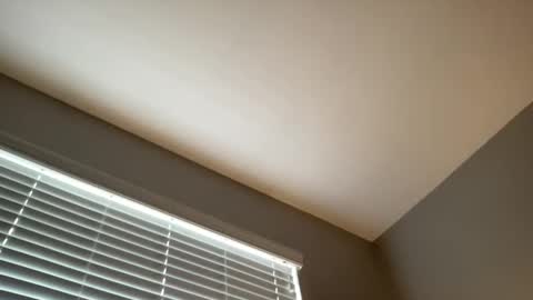 cookoosnest online show from February 25, 2:33 pm